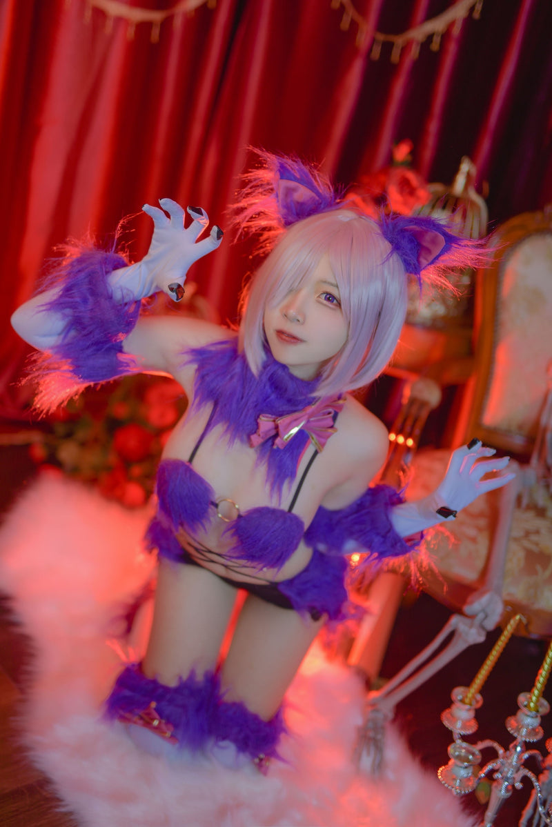 Fate/Grand Neko Cosplay Set - anime cosplay, girl, girls, cat costume