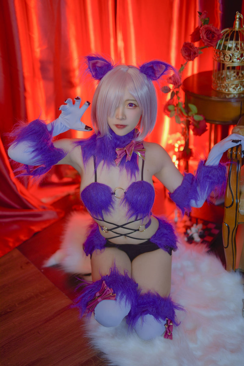 Fate/Grand Neko Cosplay Set - anime cosplay, girl, girls, cat costume