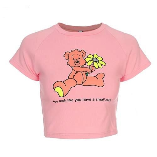 Pink You Look Like You Have A Small Dick Crop Top Teddy Bear Cropped T-Shirt Belly Shirt Savage Witty Feminist Abdl Little Space Kink Fetish by DDLG Playground