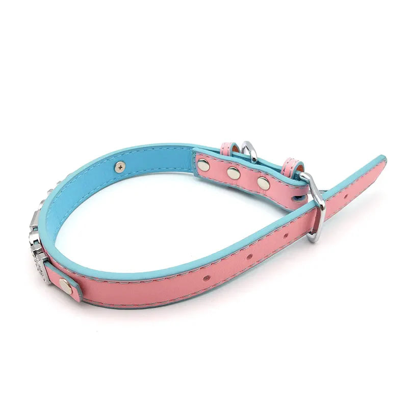 Bubblegum Trans Color Custom Collar - collar, collared, collars, custom, gay pride