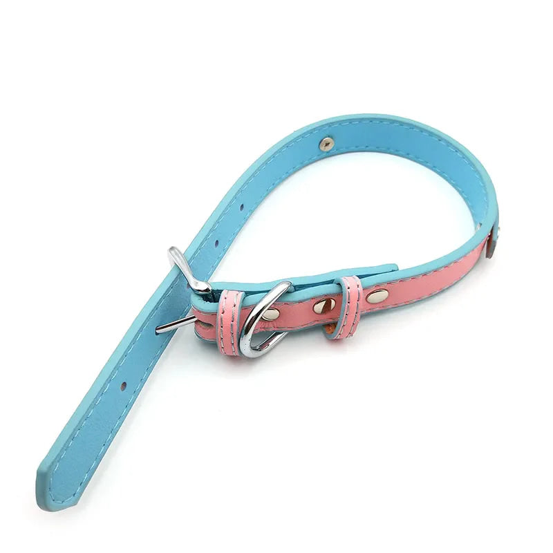 Bubblegum Trans Color Custom Collar - collar, collared, collars, custom, gay pride