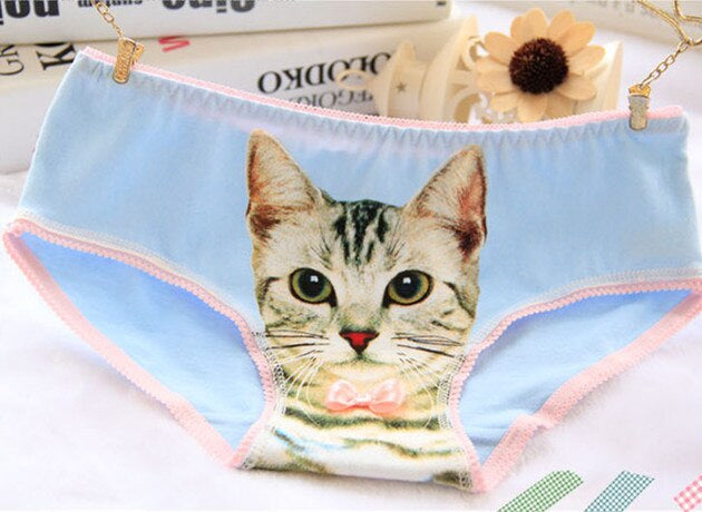 Cat Face Undies - briefs, cat face, picture, underwear, full briefs