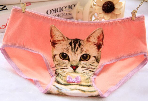 Cat Face Undies - briefs, cat face, picture, underwear, full briefs