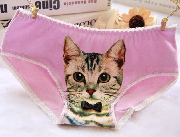 Cat Face Undies - briefs, cat face, picture, underwear, full briefs