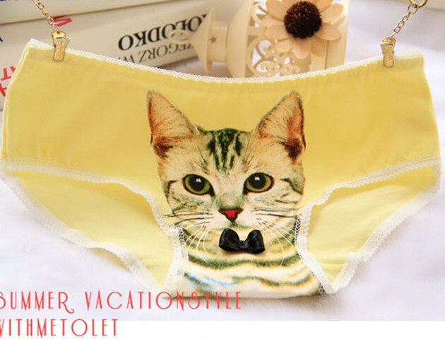 Cat Face Undies - briefs, cat face, picture, underwear, full briefs