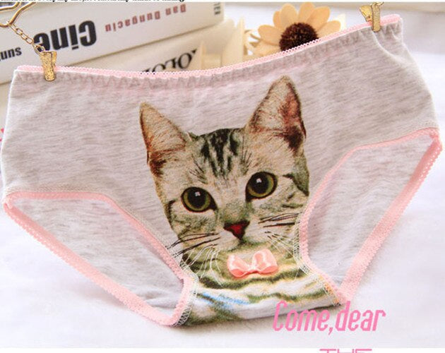 Cat Face Undies - briefs, cat face, picture, underwear, full briefs