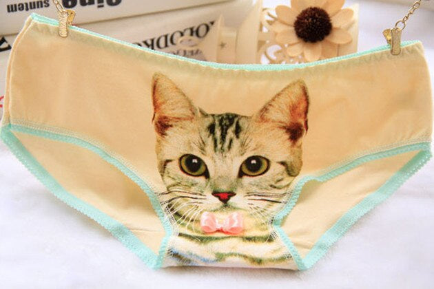 Cat Face Undies - briefs, cat face, picture, underwear, full briefs