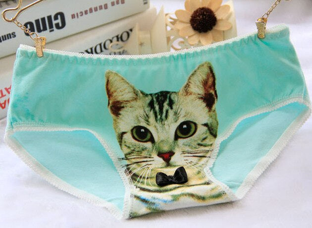 Cat Face Undies - briefs, cat face, picture, underwear, full briefs