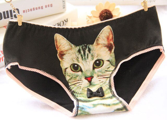 Cat Face Undies - briefs, cat face, picture, underwear, full briefs