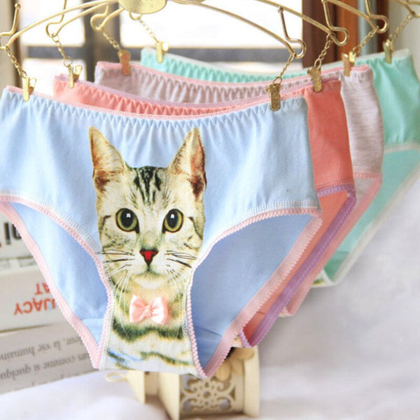 Cat Face Undies - briefs, cat face, picture, underwear, full briefs