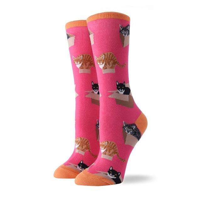 Angelic Kitten Socks - Pink Kittens - socks