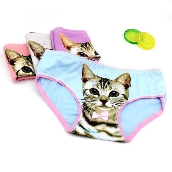 pastel kitten cat face life life realistic full brief underwear lingerie intimates fairy kei candy colored bow collar by kawaii babe