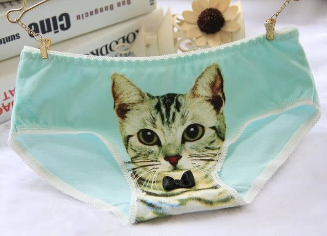 Cat Face Undies - Teal - briefs, cat face, picture, underwear, full briefs