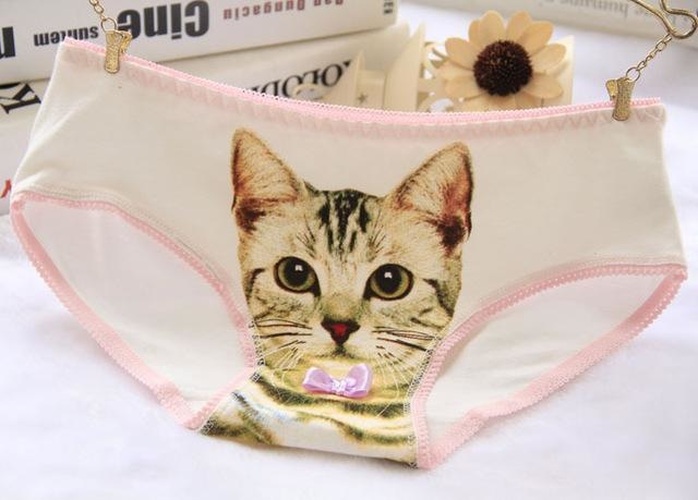 Cat Face Undies - White - briefs, cat face, picture, underwear, full briefs